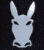 hjr1100s's Avatar