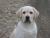 kodioneill's Avatar