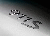 maxnine11's Avatar