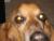NutmegCarrera's Avatar