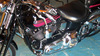 Hog 97 Bad Boy Springer