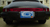 1982911sc's Avatar